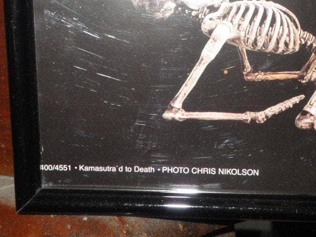 00'S★カーマ・スートラ★スカル★SEX★アート★ポスター★ビンテージ★悪趣味
