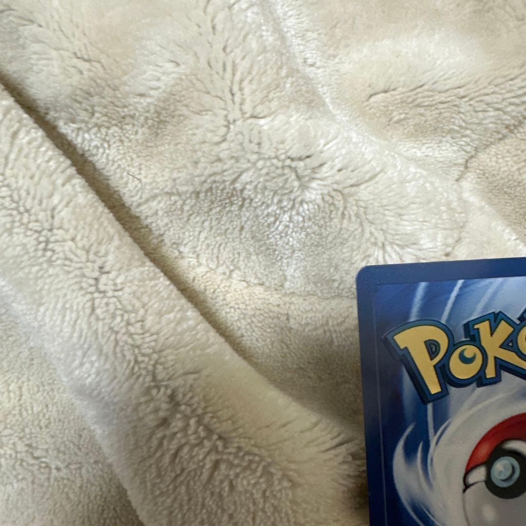 リザードン　海外　ステンレス　美品