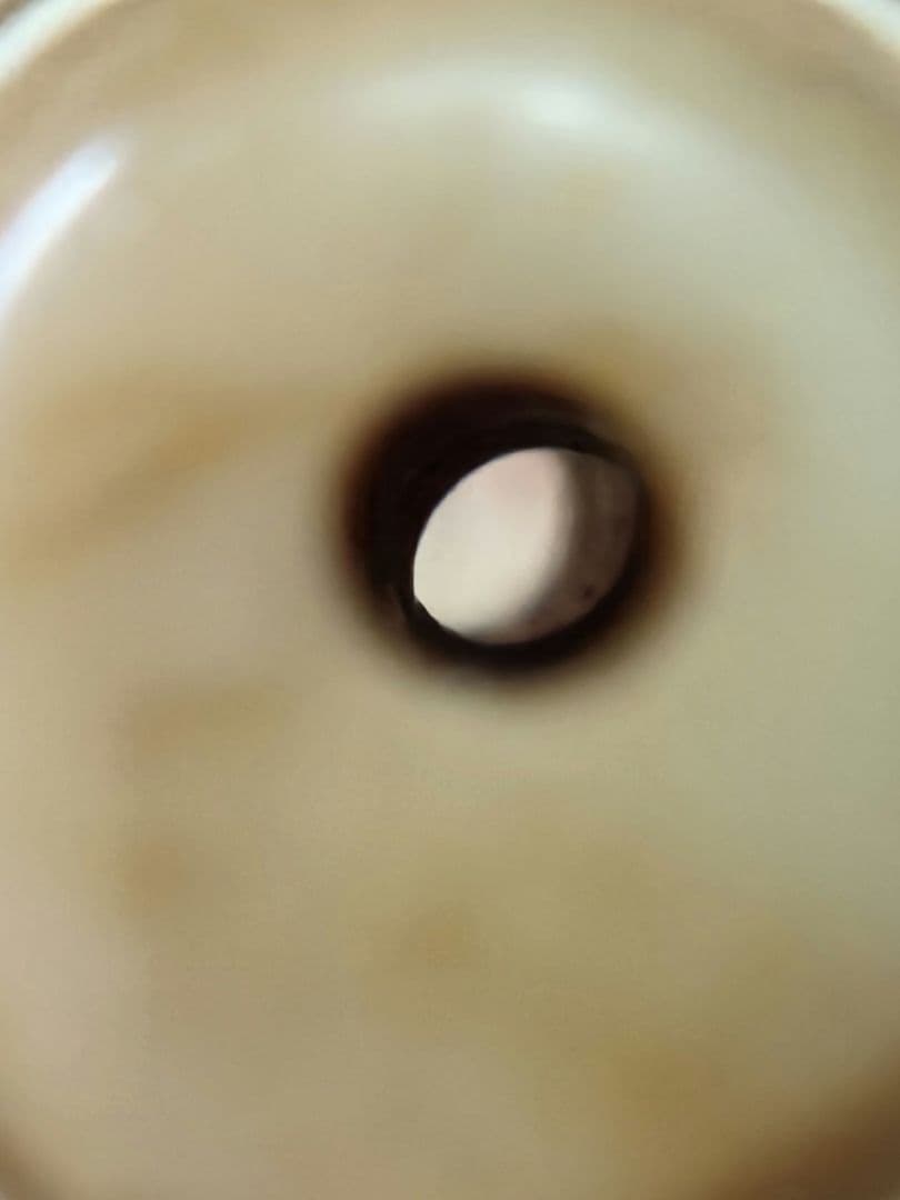 047天珠　正統派　七眼天珠　dzibeads！