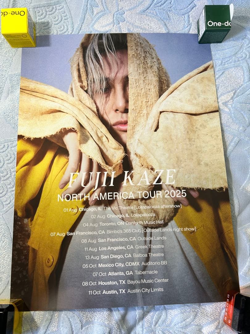 FUJII KAZE NORTH AMERICA TOUR 2025 ポスター