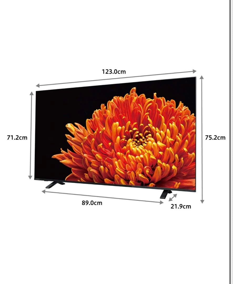 REGZA 55C340X [55インチ] ジャンク