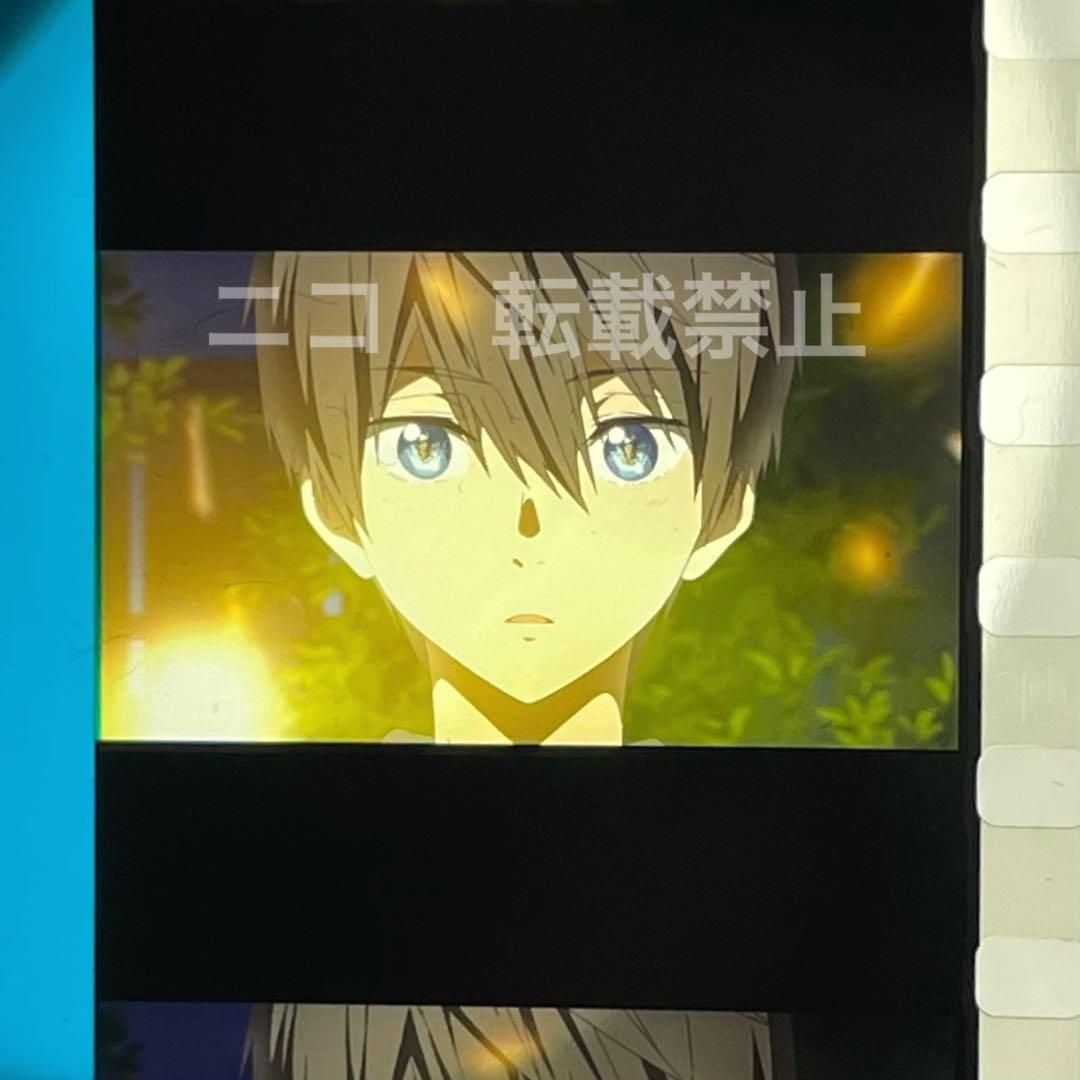 Free! FS 特典　フィルム　ハイスピード　遙　花火