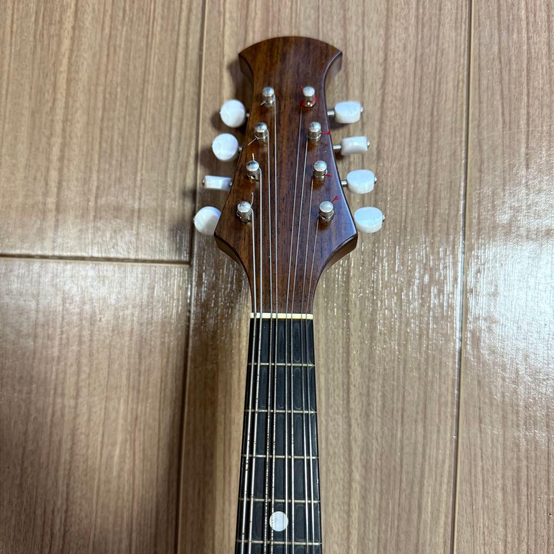 【美品】宮野マンドリン　M-1 ローズウッドボディ　 マンドリンケース　弦付き