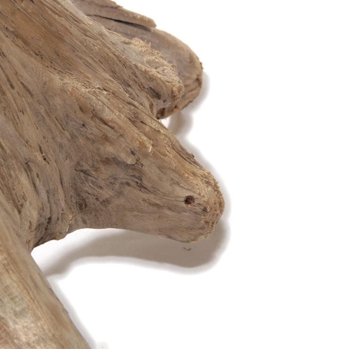 流木 インテリア レイアウト 42cm DIY アクアリウム 天然 rybk7