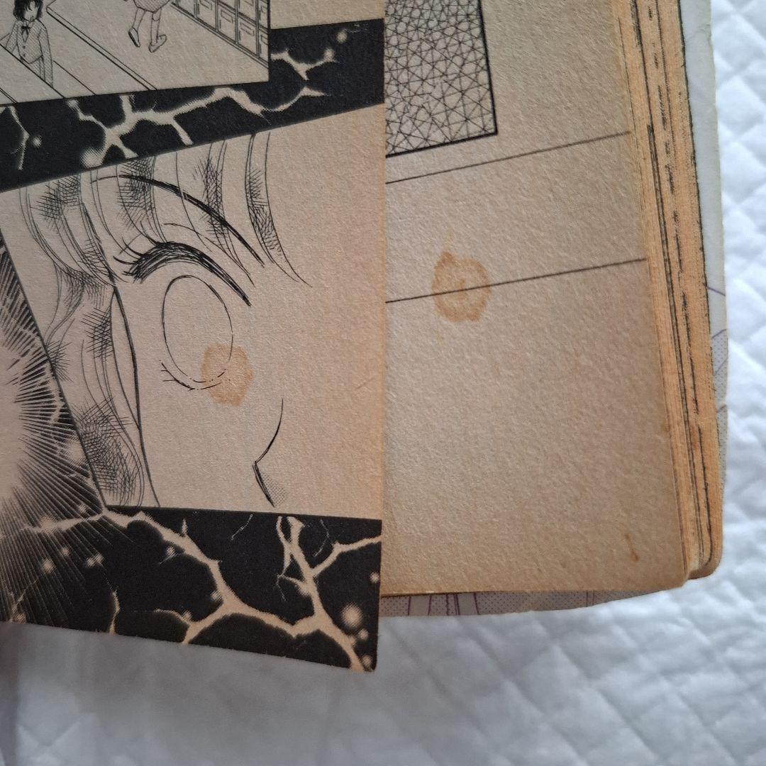 闇は集う 夜に消える翼 松本洋子