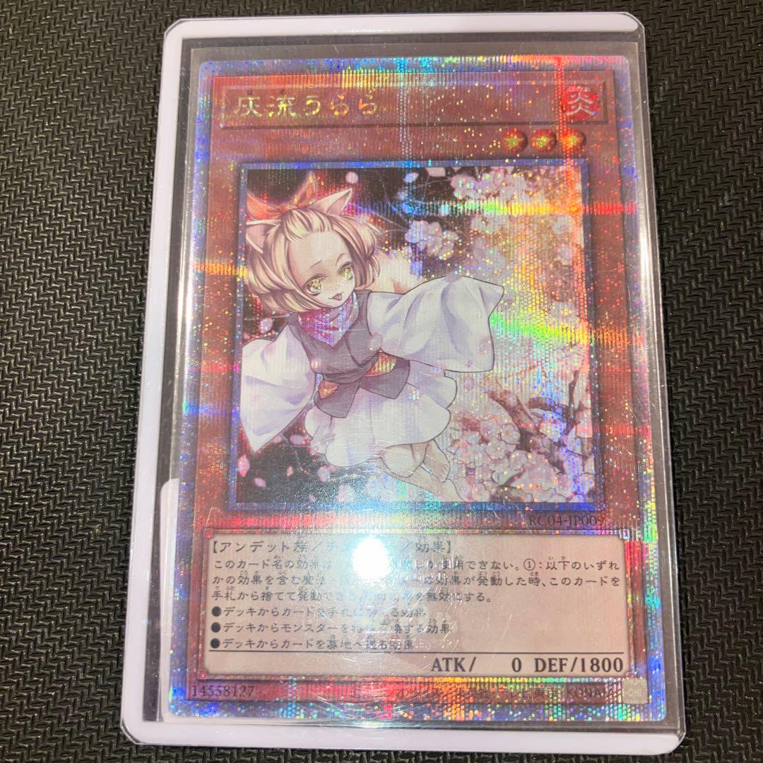 最安値 ハルウララ 灰流うらら 25th クオシク