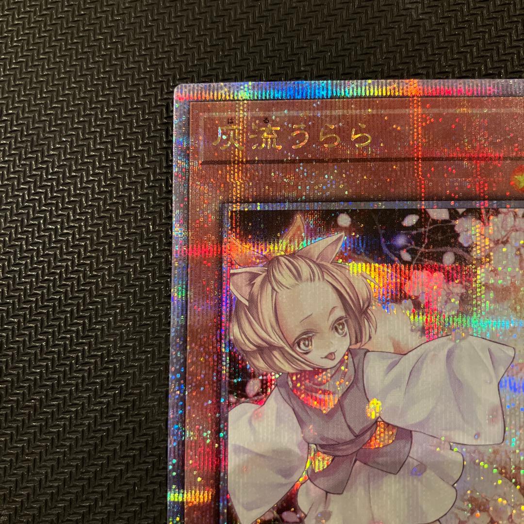 最安値 ハルウララ 灰流うらら 25th クオシク