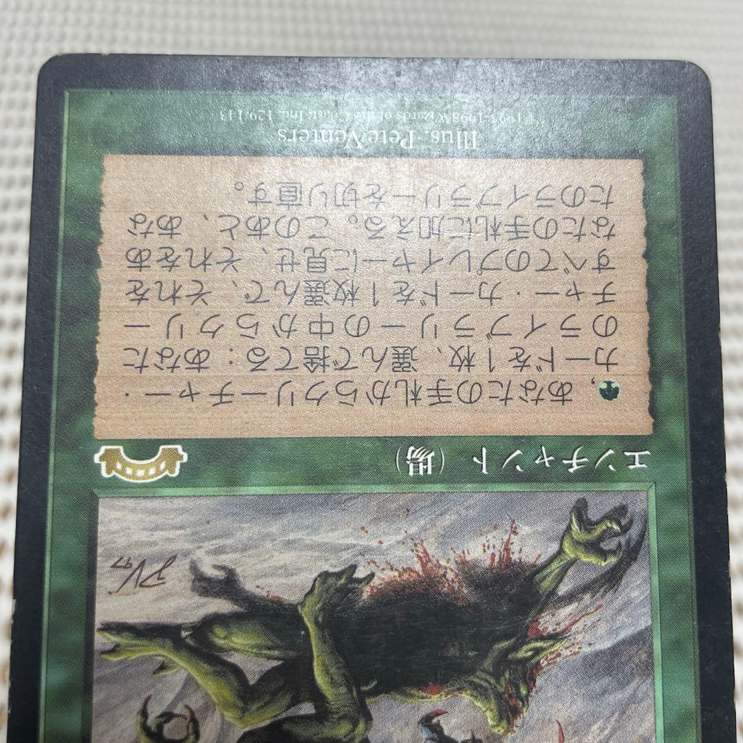 MtG 適者生存【EXO】日本語 Hプレイド