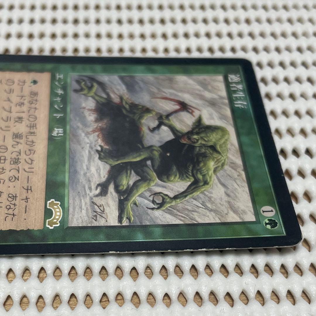 MtG 適者生存【EXO】日本語 Hプレイド