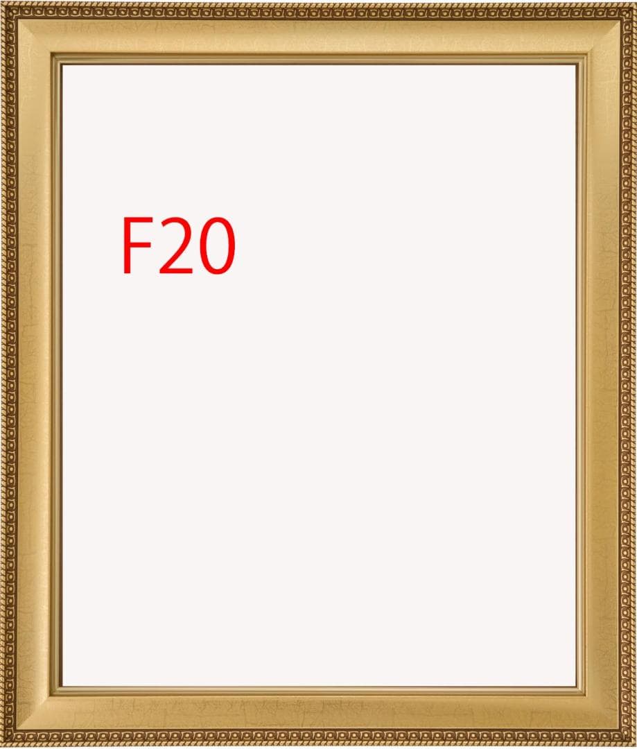 リ*5様 ゴールド F20 油彩額縁　アクリル付き