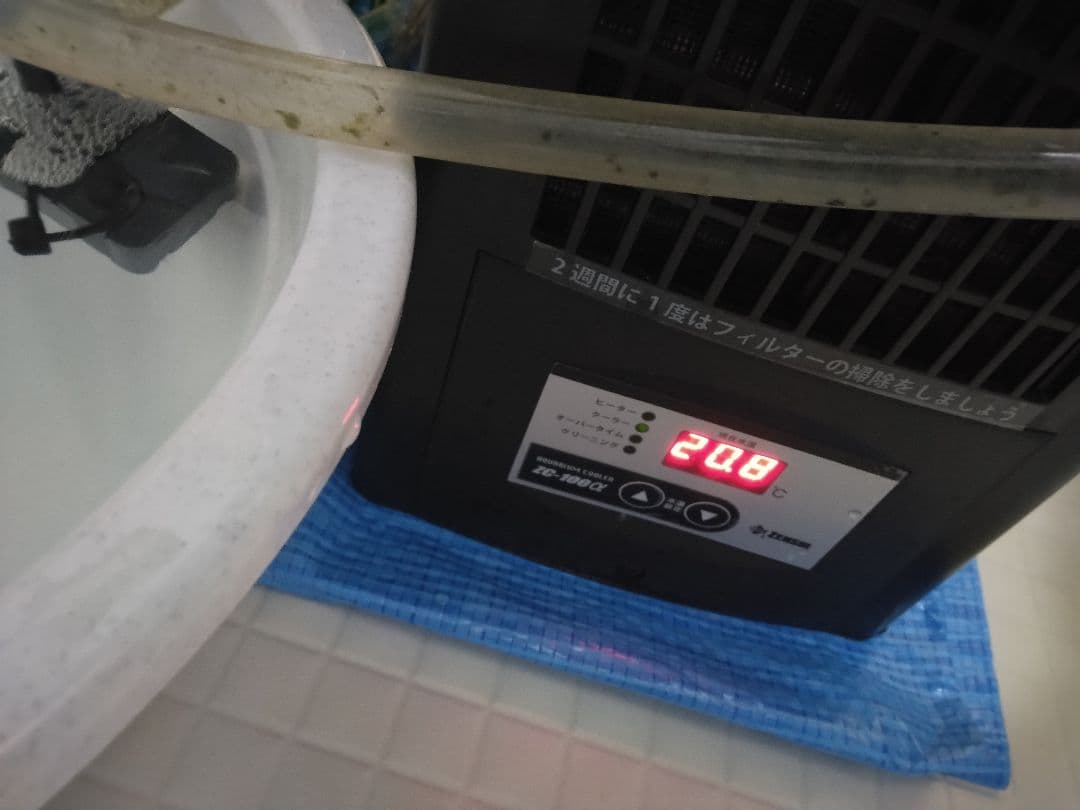 ゼンスイ ZC-100a　リオ＋180　セット売り切り