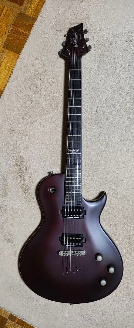 送料込最終値下げ　Washburn PXL10 WA
