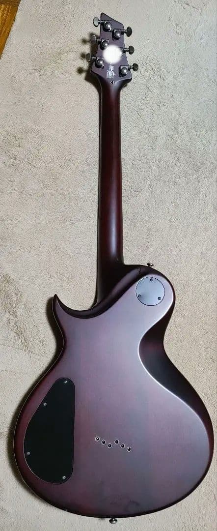 送料込最終値下げ　Washburn PXL10 WA