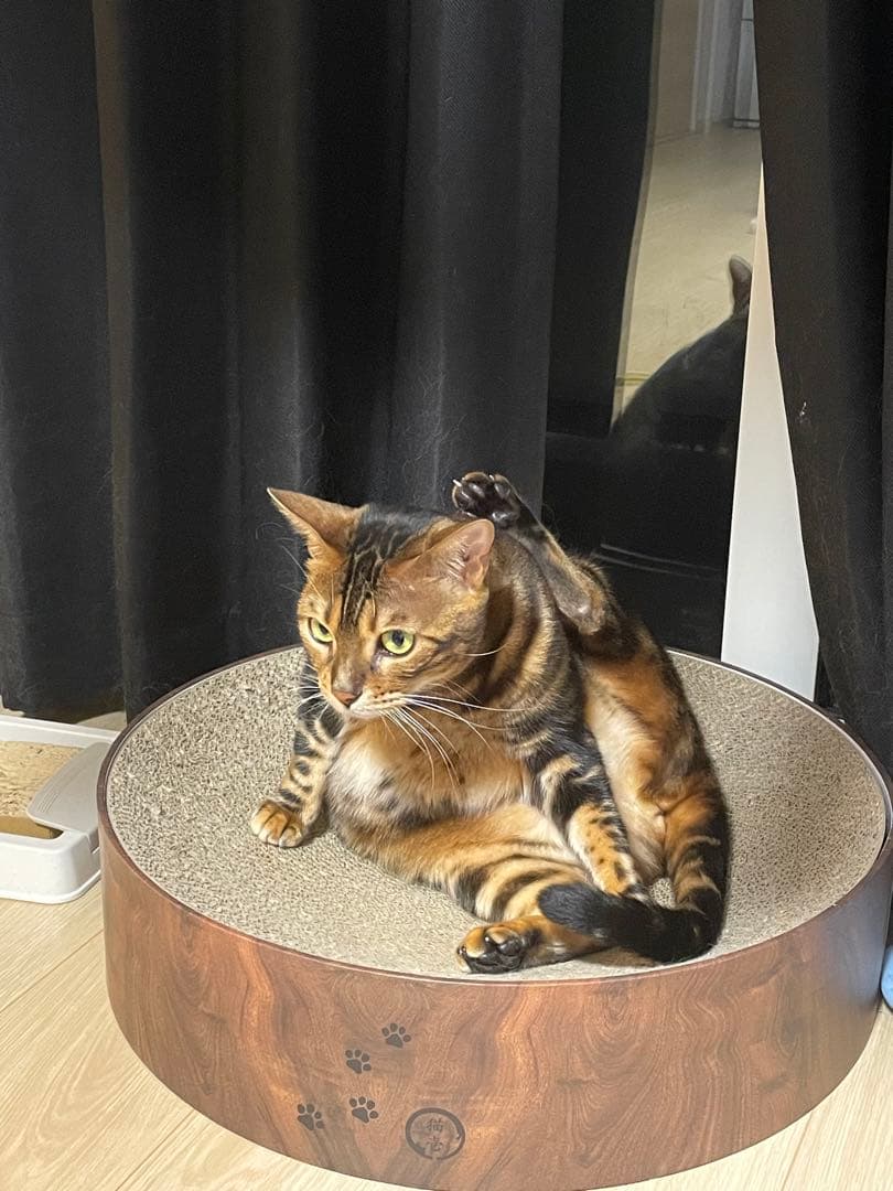 たまごっちみーつ　サンリオver