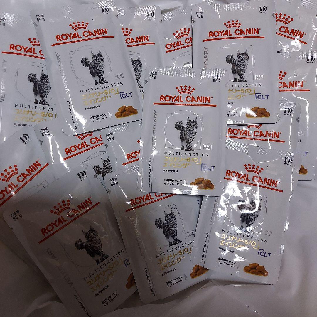  CANIN S/O　CLT　膀胱炎療法食　猫用療法食 85g 23袋