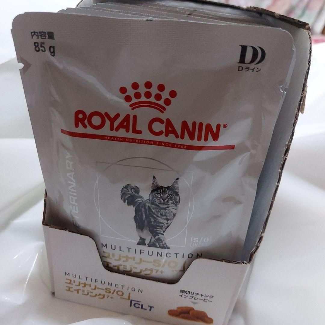  CANIN S/O　CLT　膀胱炎療法食　猫用療法食 85g 23袋