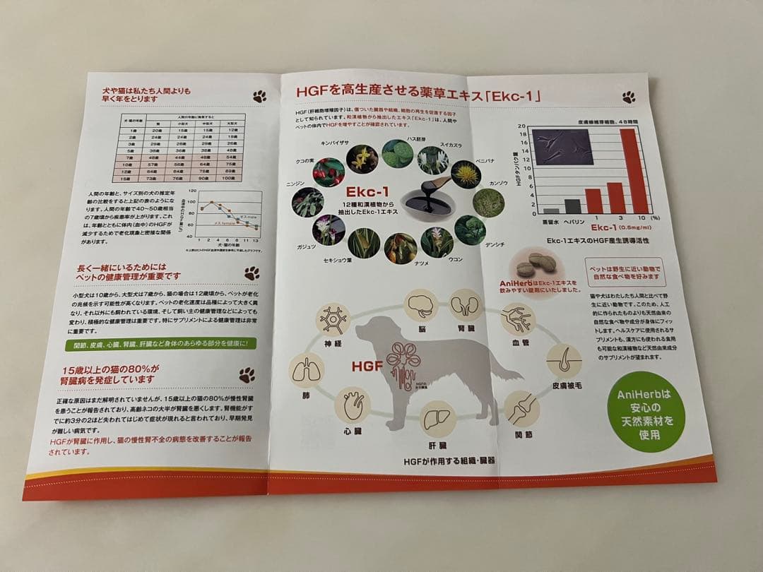 AniHerb HGF サプリメント 60粒入り6箱セット