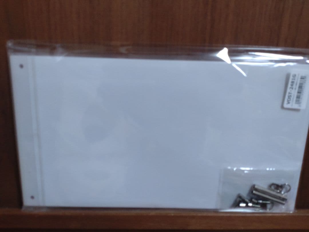 東山恵里沙 直筆サイン入 アクリルフレーム Victorオンライン限定