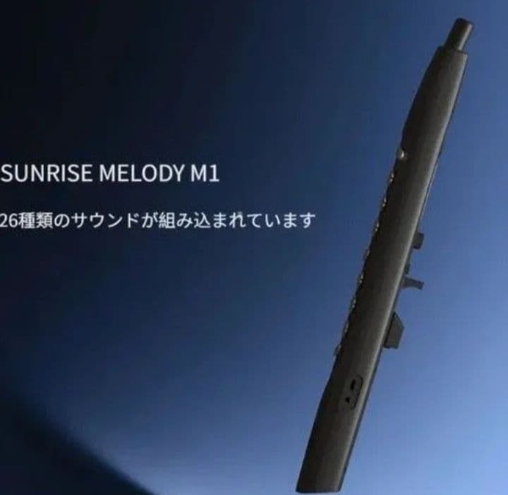 新品 電子 デジタル サックス 吹奏 管楽器 エレフエ サクソフォン黒リコーダー