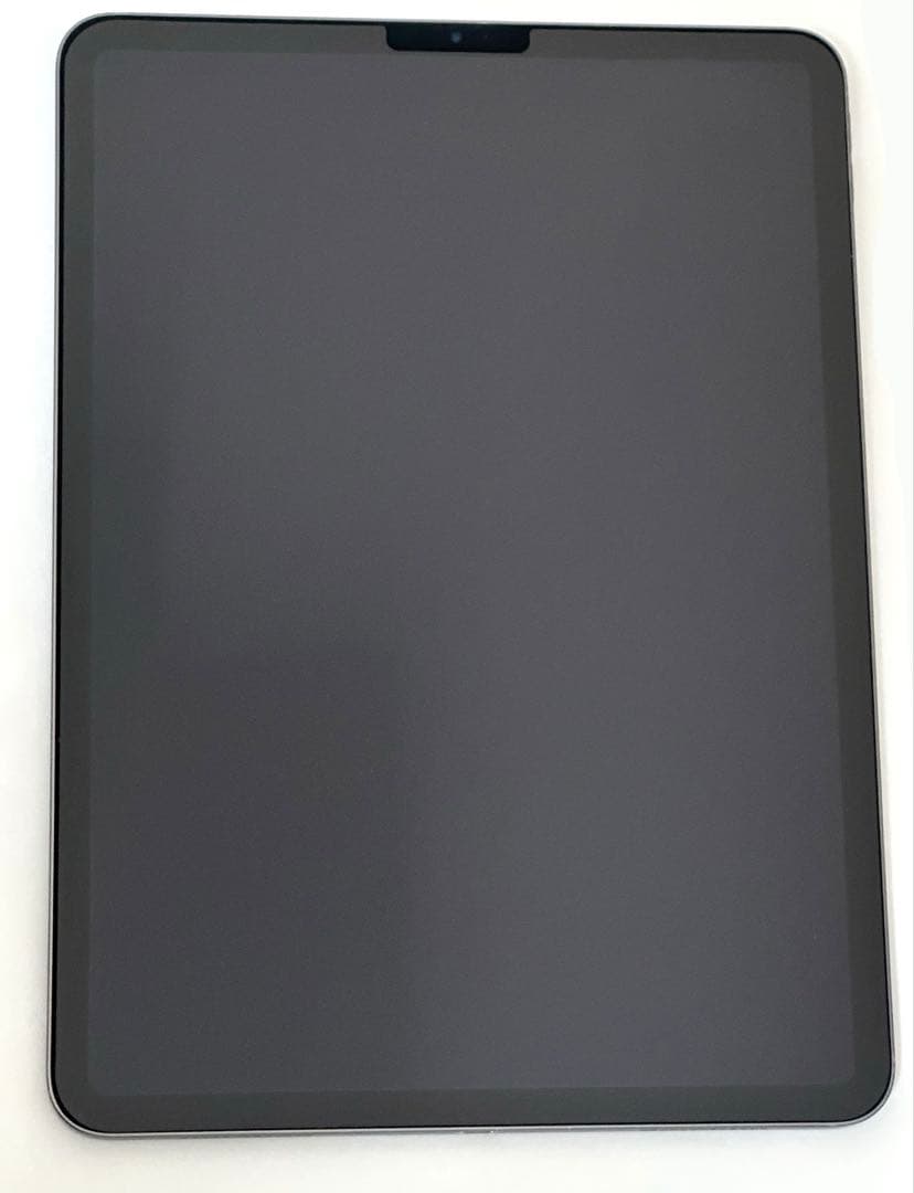 256GB iPad Pro 11インチ Wi-Fiモデル　スペースグレイ