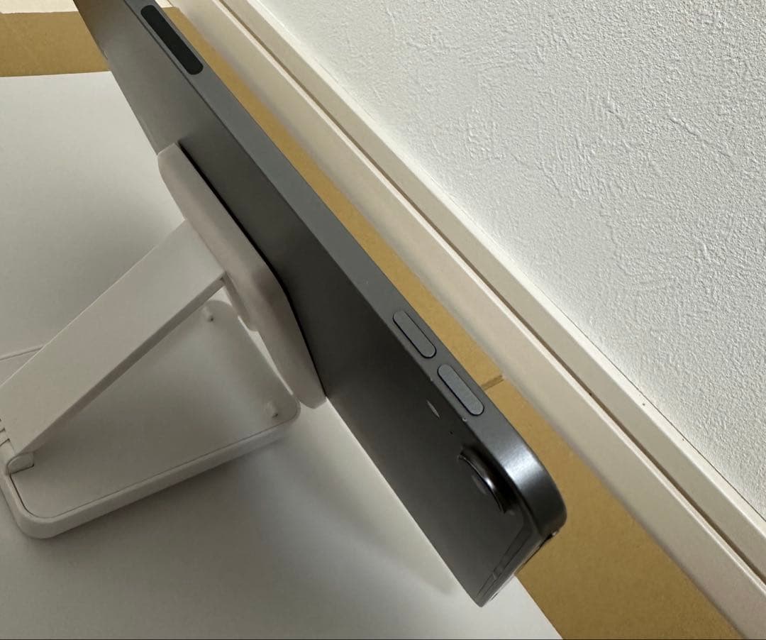 256GB iPad Pro 11インチ Wi-Fiモデル　スペースグレイ