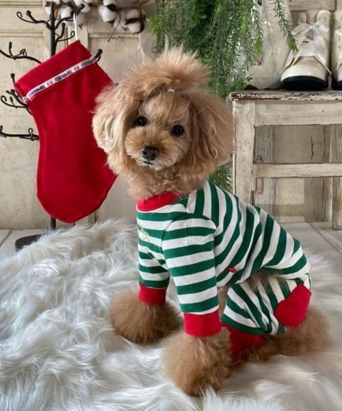 as know as de wan Ｎルームウェアセット