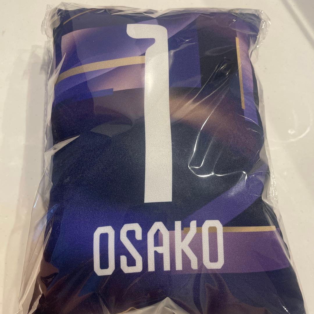 サンフレッチェ広島　大迫敬介選手　クッション 背番号1