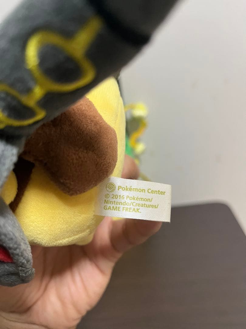 メガレックウザのポンチョを着たピカチュウ　黒いレックウザポンチョを着たピカチュウ