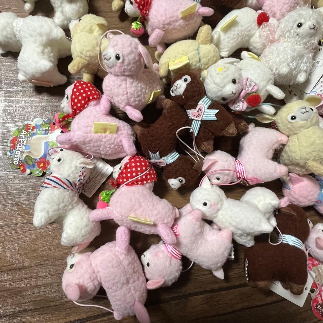 アルパカッソ＆ベイビーアルパカッソ　ぬいぐるみマスコット　小サイズ　62個セット