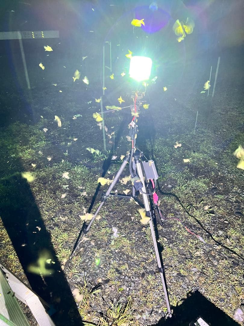 灯火採集　三脚型　ライトトラップ　HID55w 紫外線放出加工済