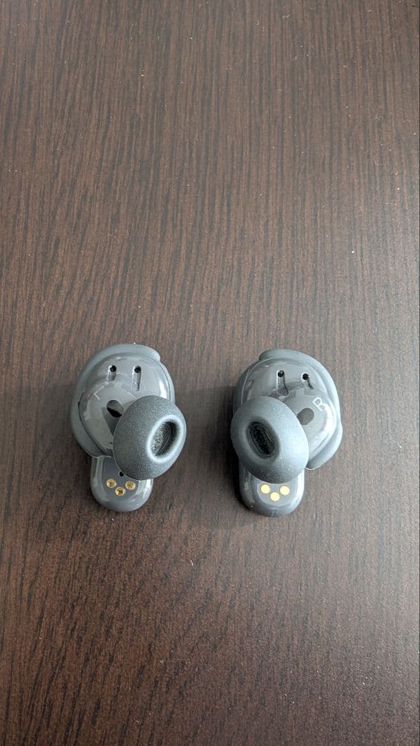 Bose QuietComfort Earbuds II 限定色エクリプスグレー