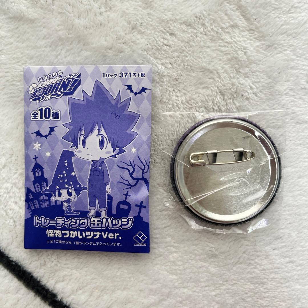 家庭教師ヒットマンREBORN! 雲雀恭弥 怪物づかいつツナ 缶バッジ