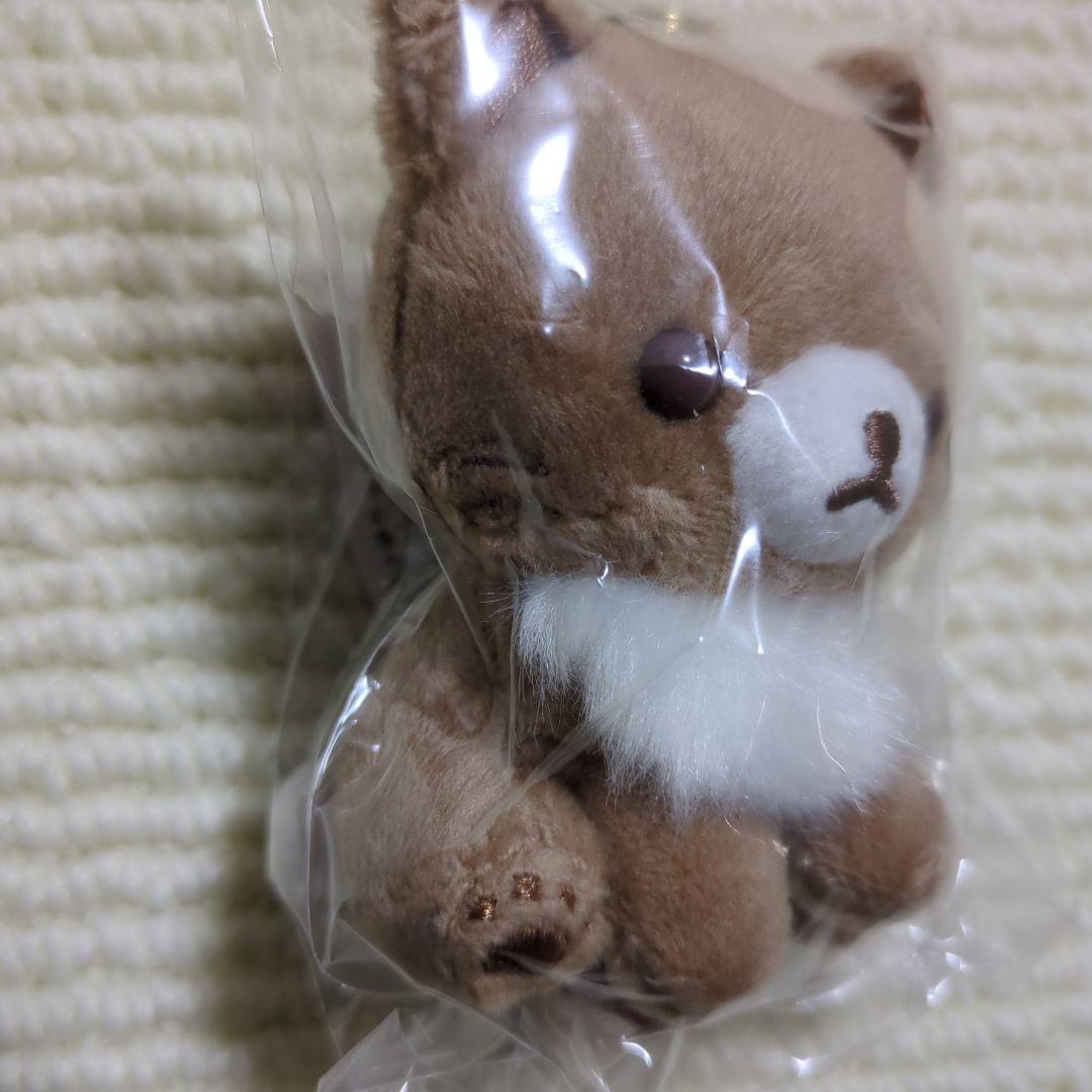 リラックマ　ココアキャット　ぶらさげぬいぐるみ