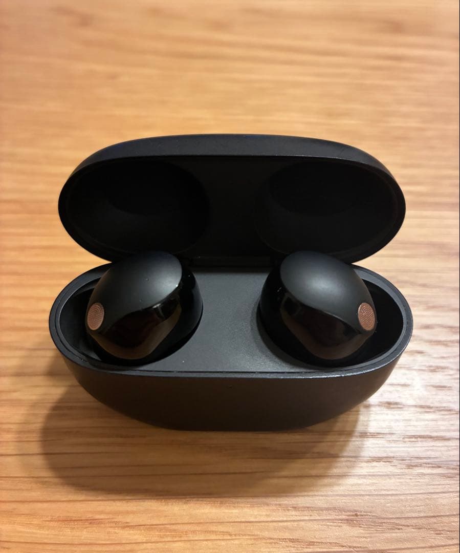 wf-1000xm5 ケース付き