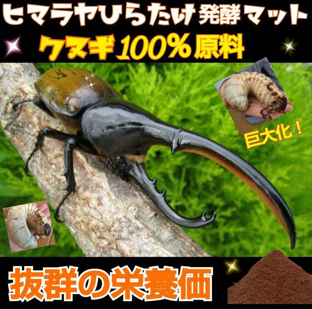雑虫がわきません！カブトムシ幼虫の餌　産卵に！　発酵マット【60リットル】
