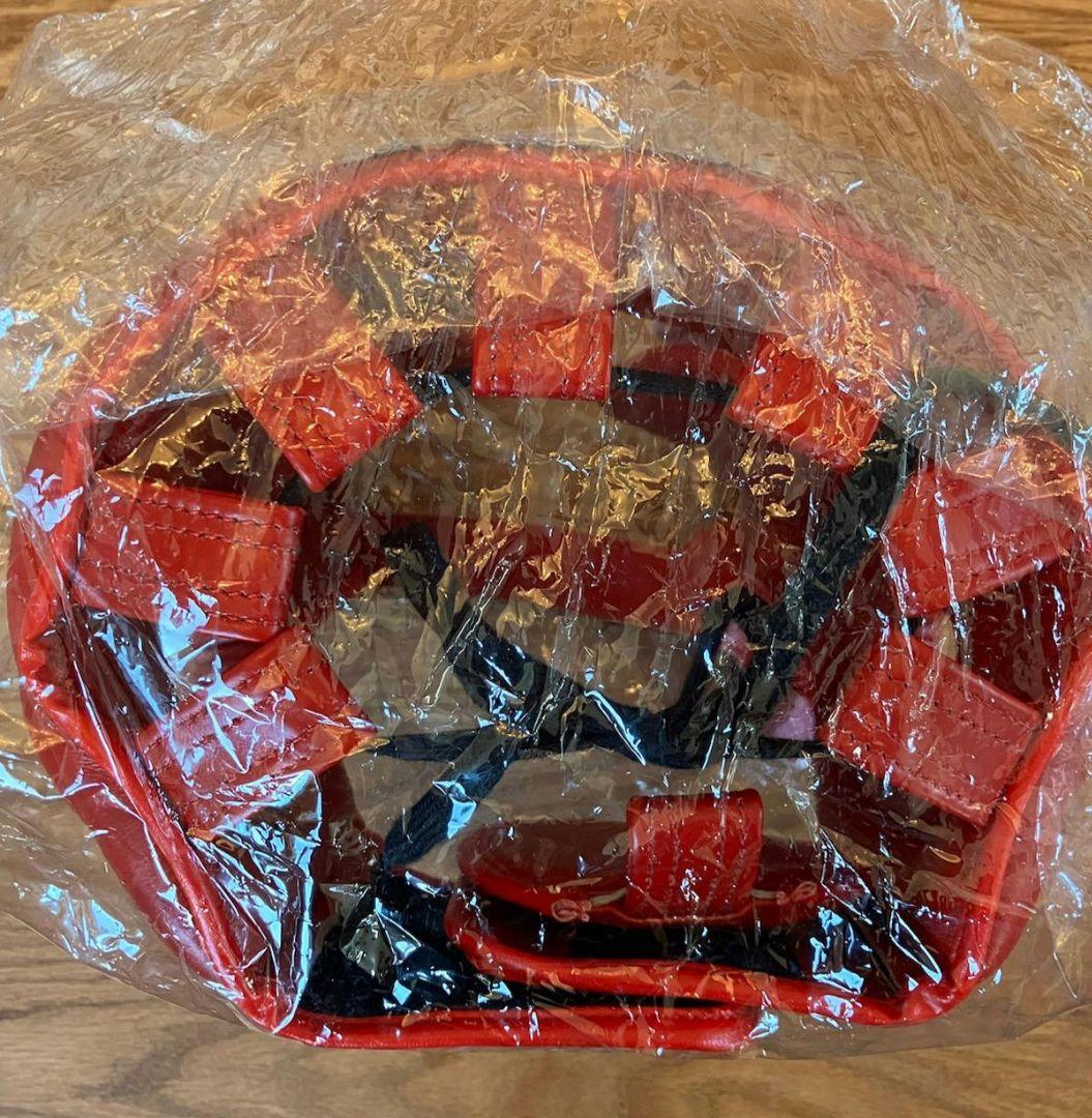 WINDY HP-10 ヘッドギア Mサイズ 赤