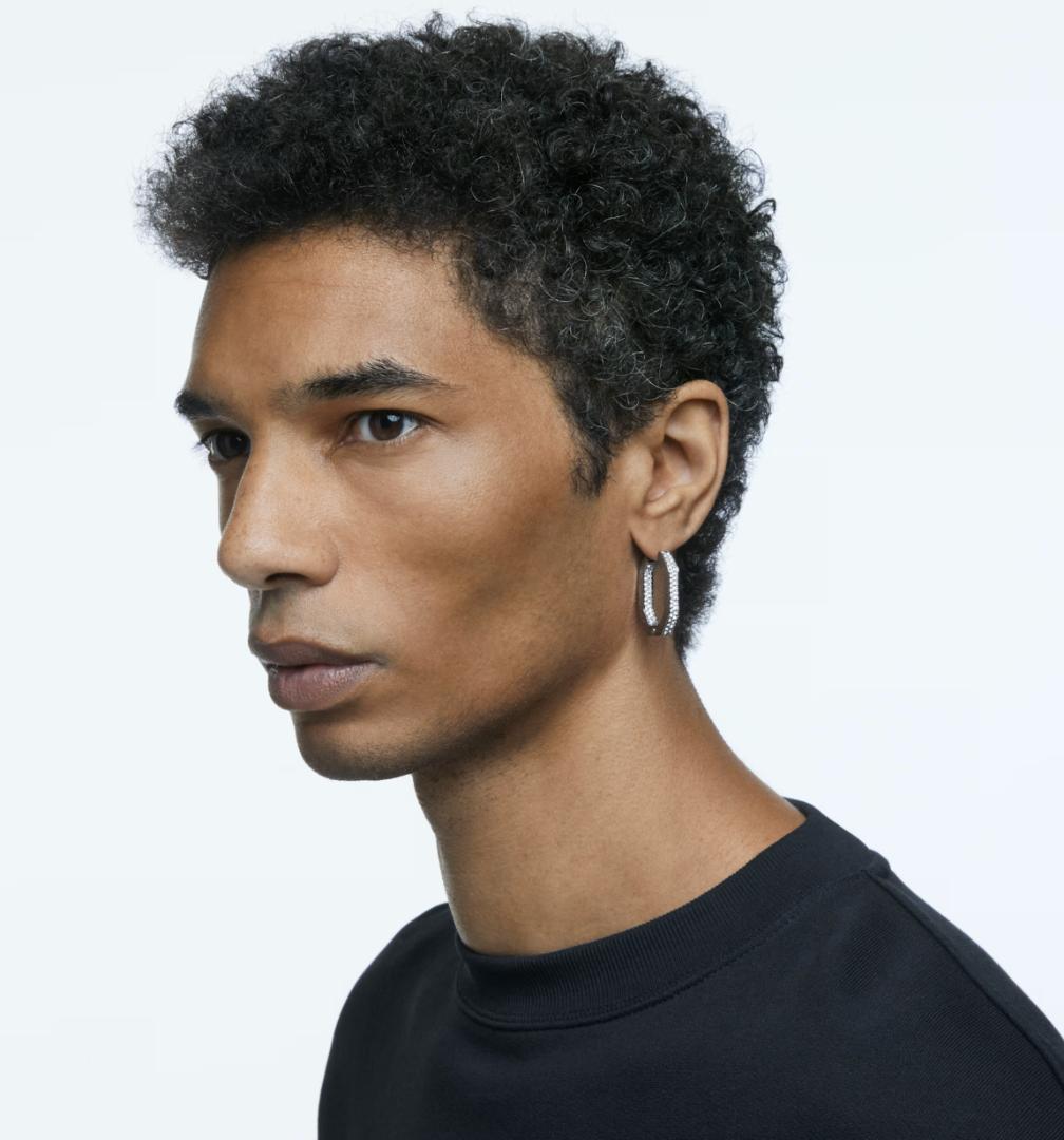 スワロフスキー Swarovski Dextera フープピアス