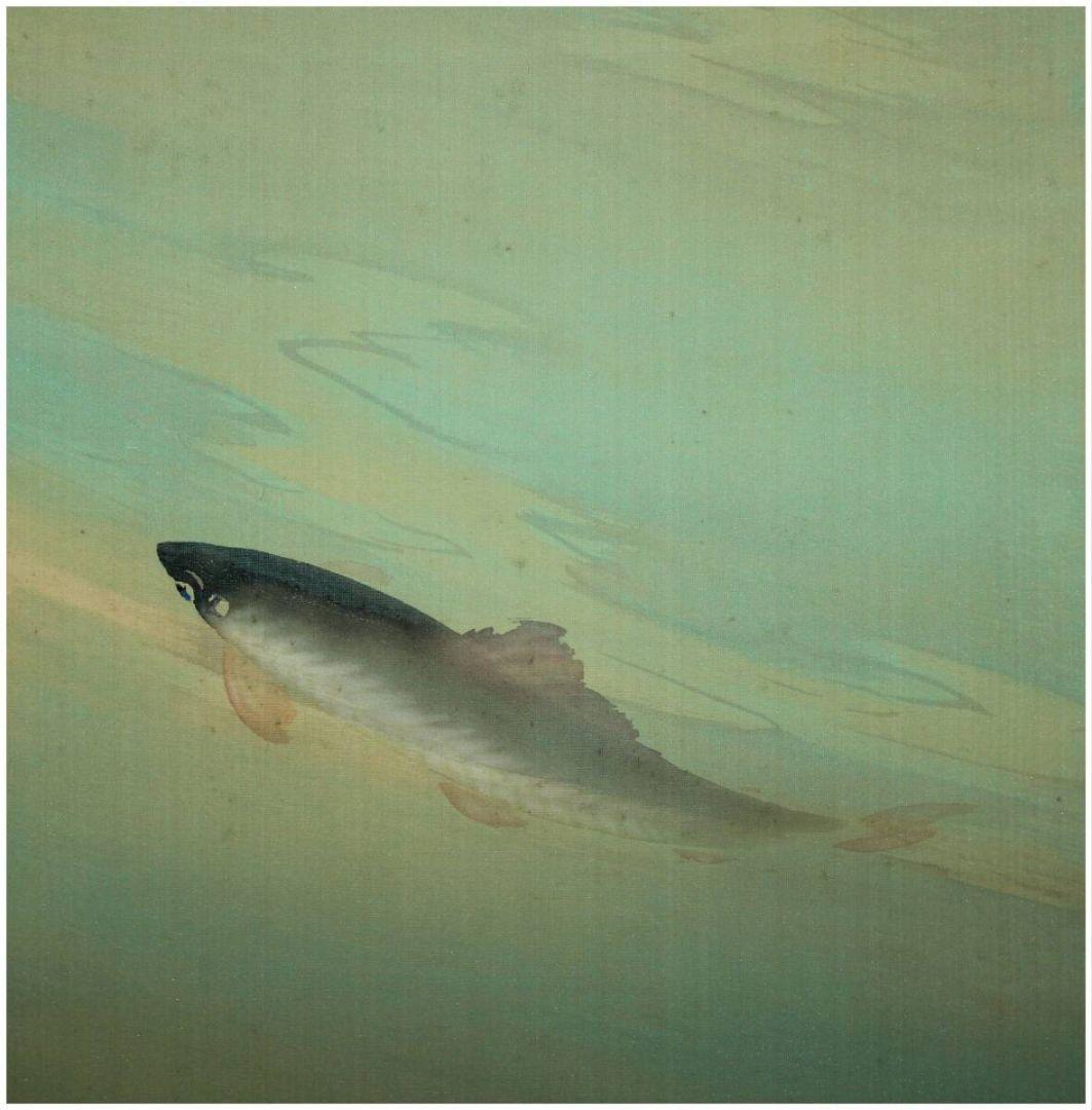 【真作 巨匠名品】登里鮎図（二重箱） 京都画壇・山元春挙