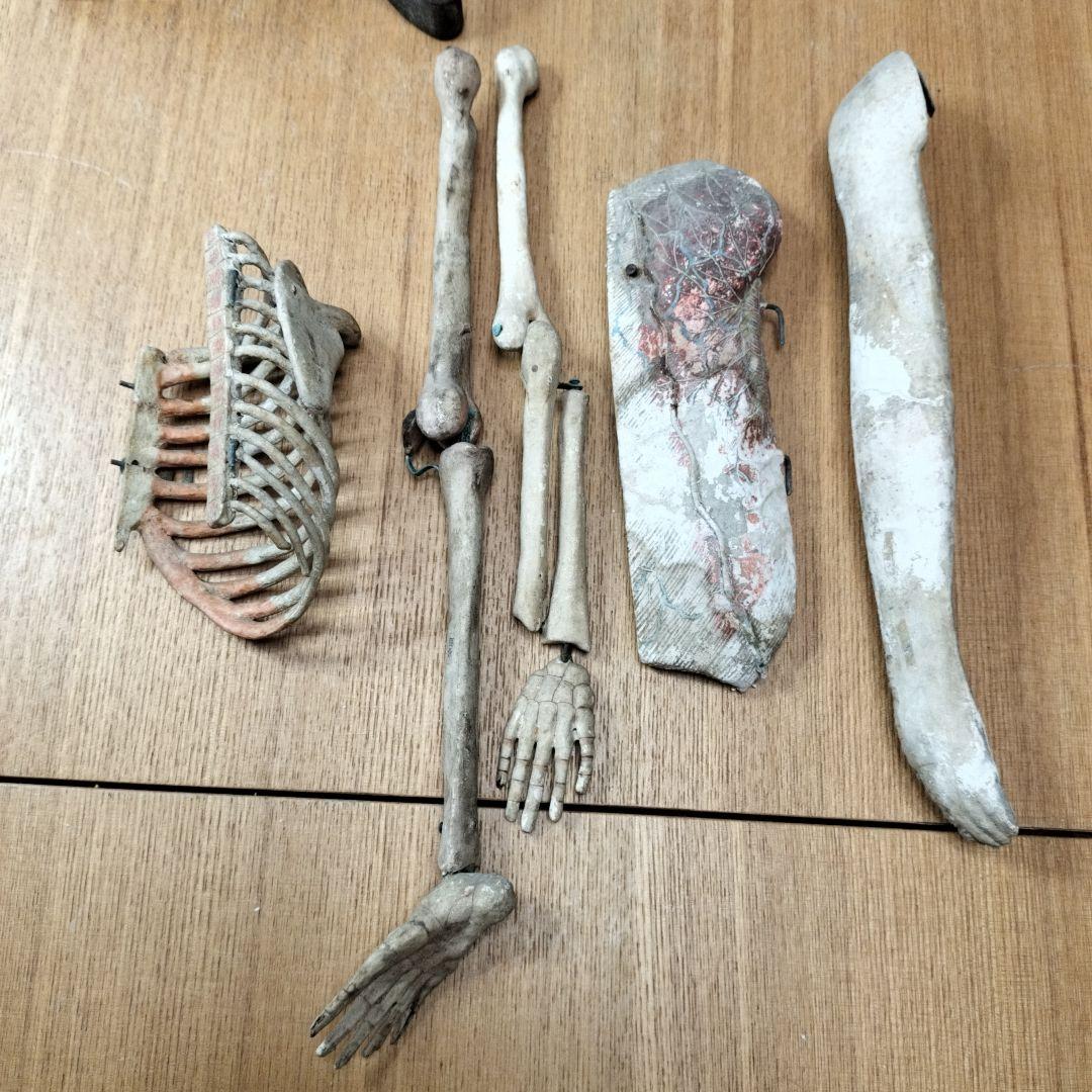 張り子製 人体模型 約60cm