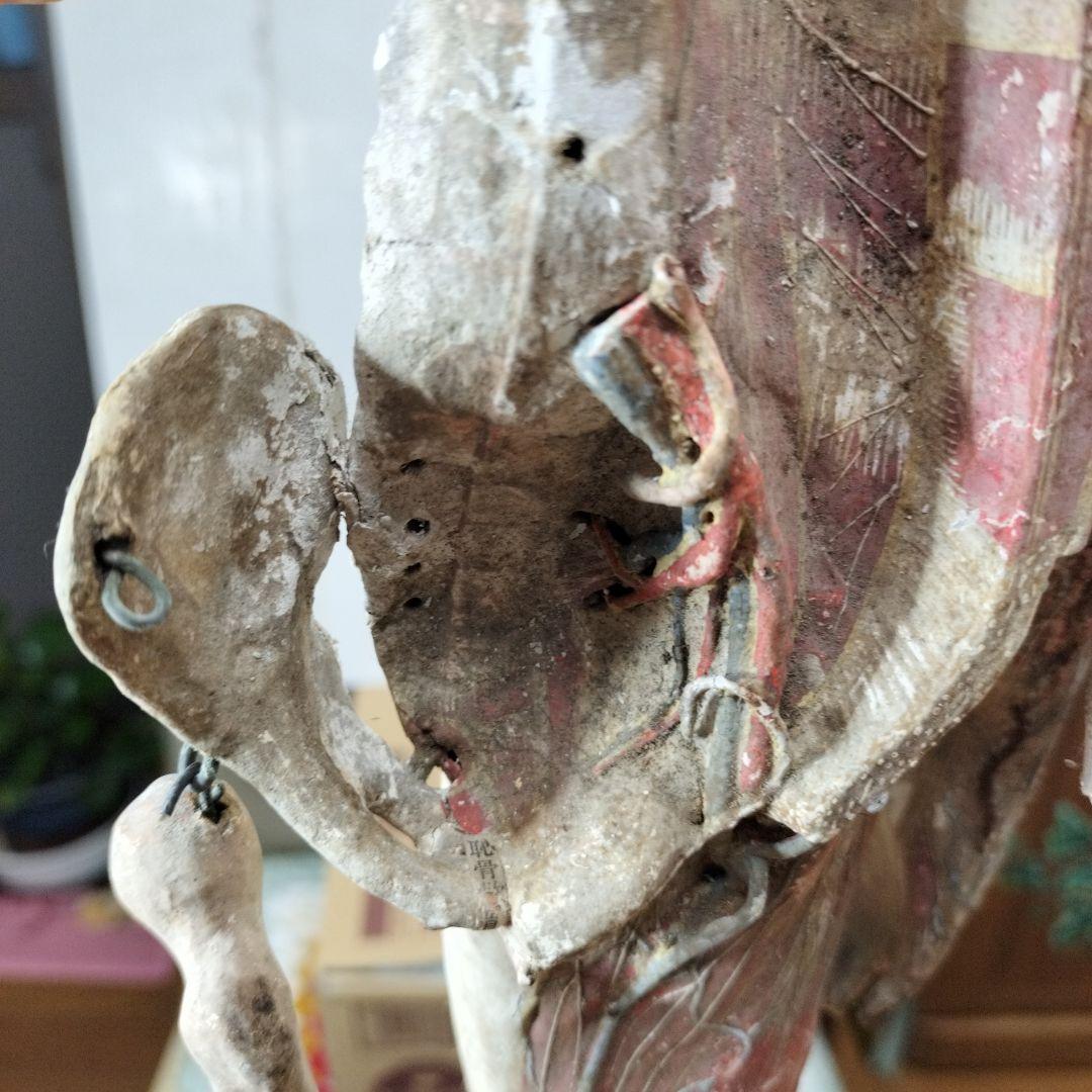 張り子製 人体模型 約60cm