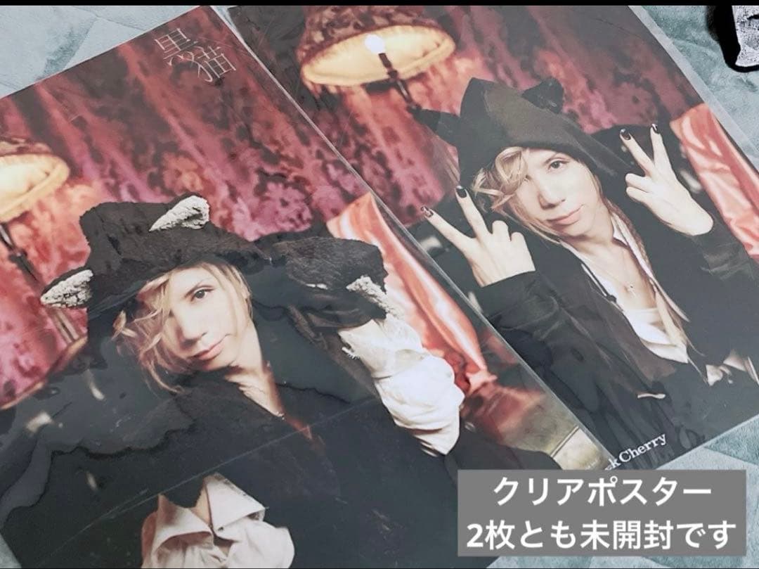 【美品】最終お値下げ Acid Black Cherry ポスター 10点