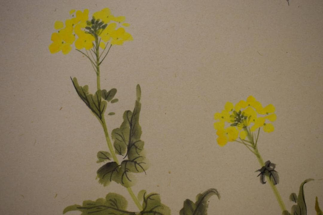 真作/松陽/なの花画賛/桐共箱付/布袋屋掛軸HG-822