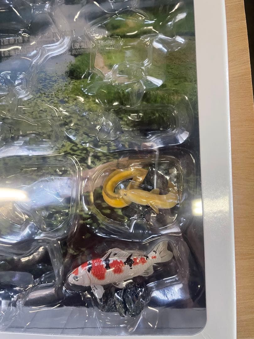 原色淡水魚図鑑Ⅰ Ⅱ 改訂版　コレクションボックス