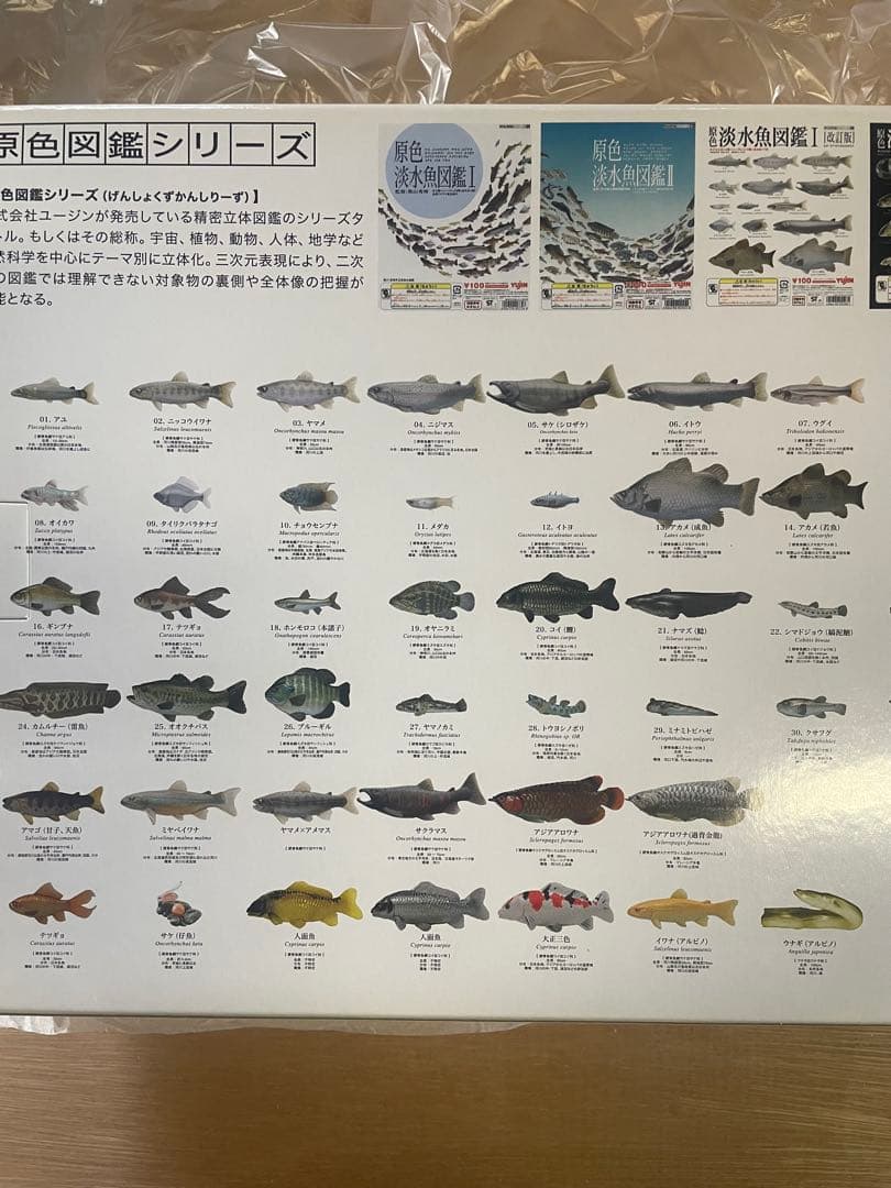 原色淡水魚図鑑Ⅰ Ⅱ 改訂版　コレクションボックス