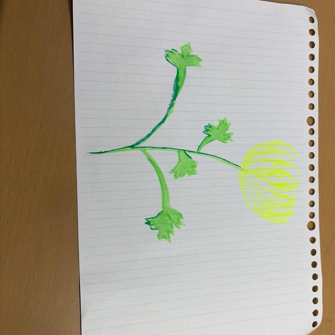 菊の花の絵　自分で描きました　イラスト　即購入可