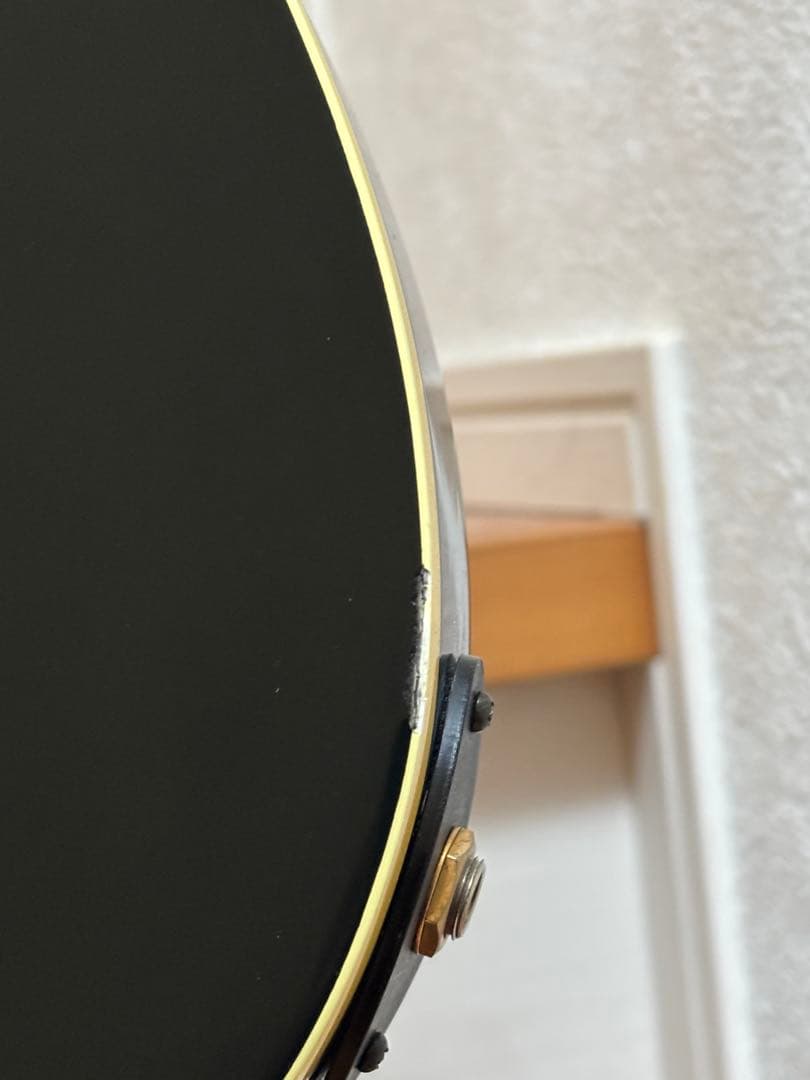 Fernandes フェルナンデス　TEJ 55g 中古