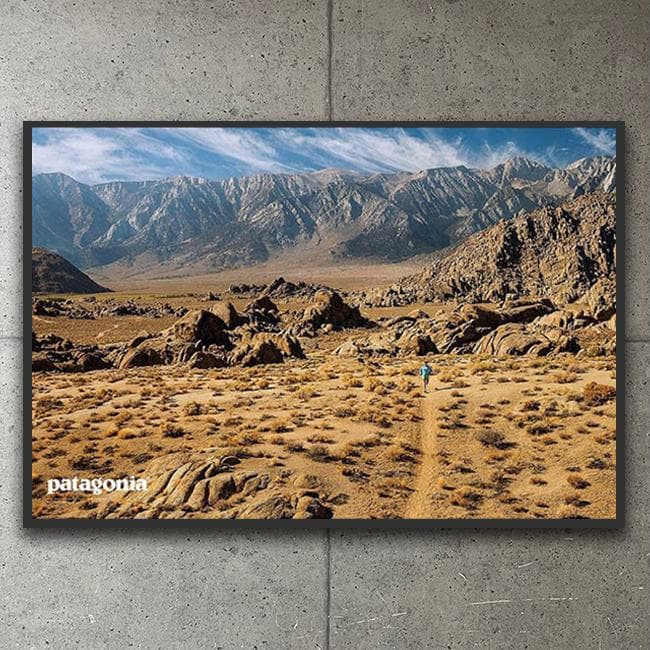 額装品/Lone Runner Lone Pine（パタゴニア）/アートポスター