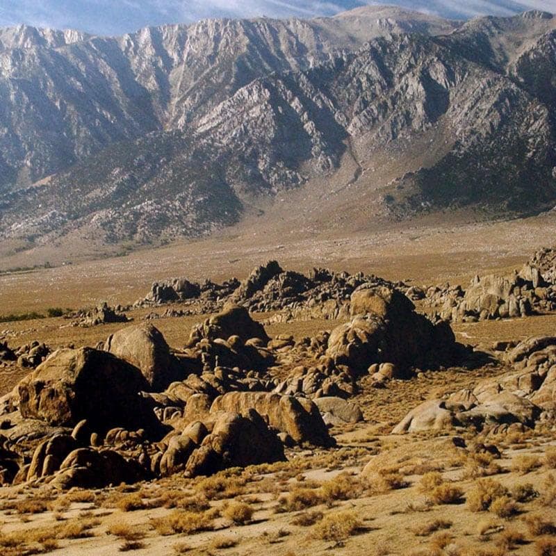 額装品/Lone Runner Lone Pine（パタゴニア）/アートポスター