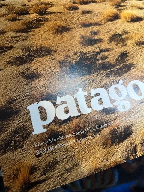 額装品/Lone Runner Lone Pine（パタゴニア）/アートポスター