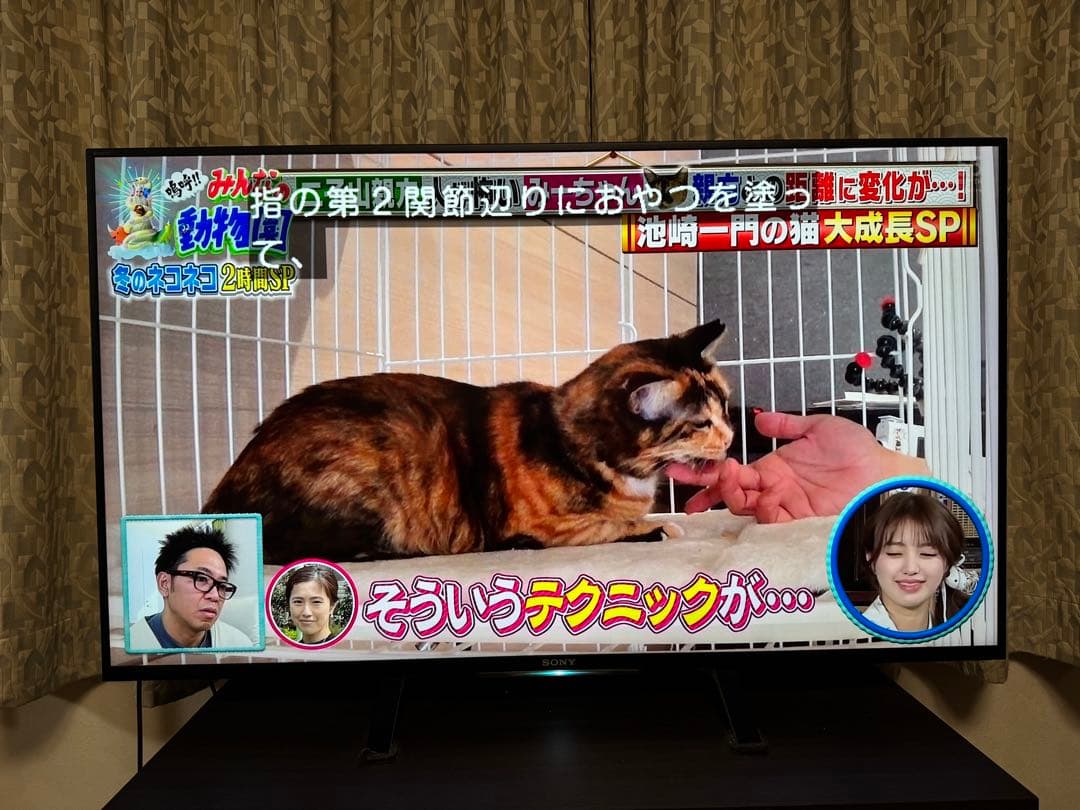 SONY BRAVIA KD-49X8500B 中古